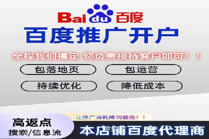 百度推广实战：案例分析与优化技巧