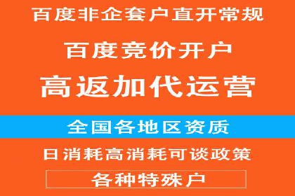 网络推广竞价实战：某电商平台的成功案例